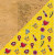 POP6C